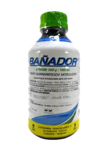 BAÑADOR(1)